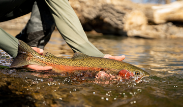 Man-holding-fish-he-caught-fly-fishing