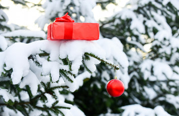 red-gift-box-on-snowy-tree.jpg