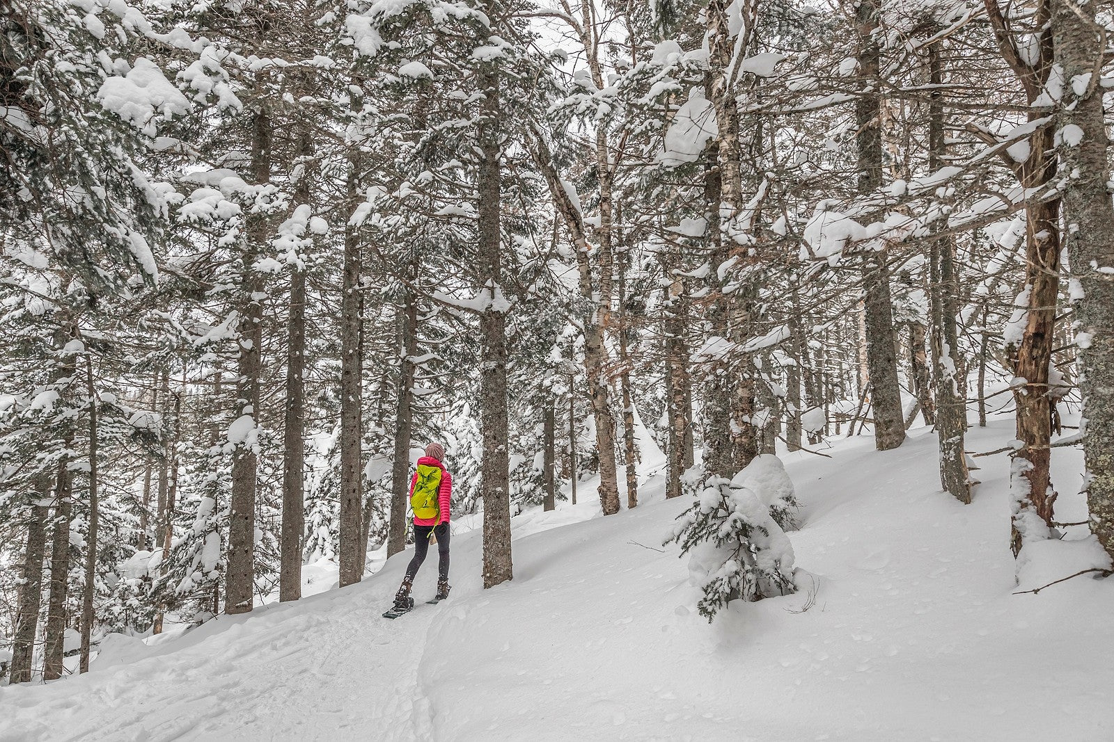 woman-snowshoeing-in-forest